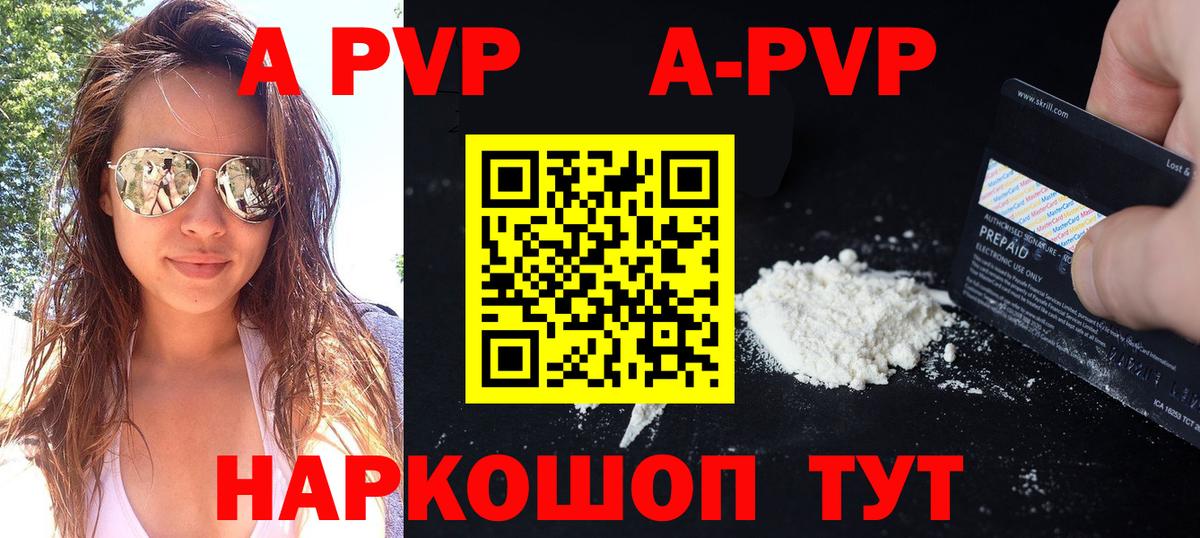 Alfa_PVP СК Аргун