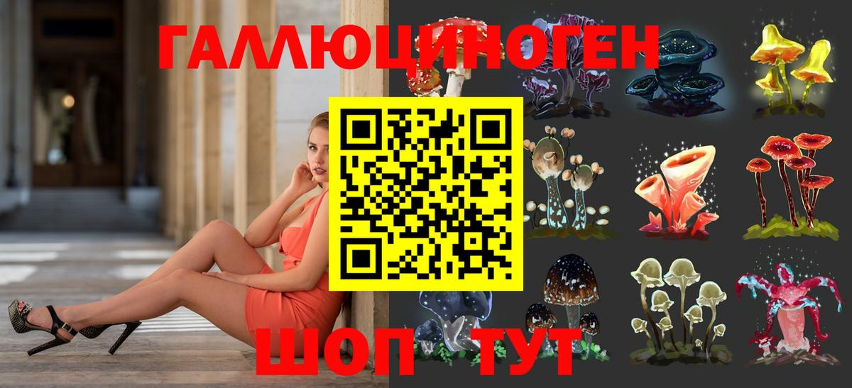 Галлюциногенные грибы MAGIC MUSHROOMS  Галлюциногенные грибы Psilocybine cubensis  Вход с VPN  Аргун 